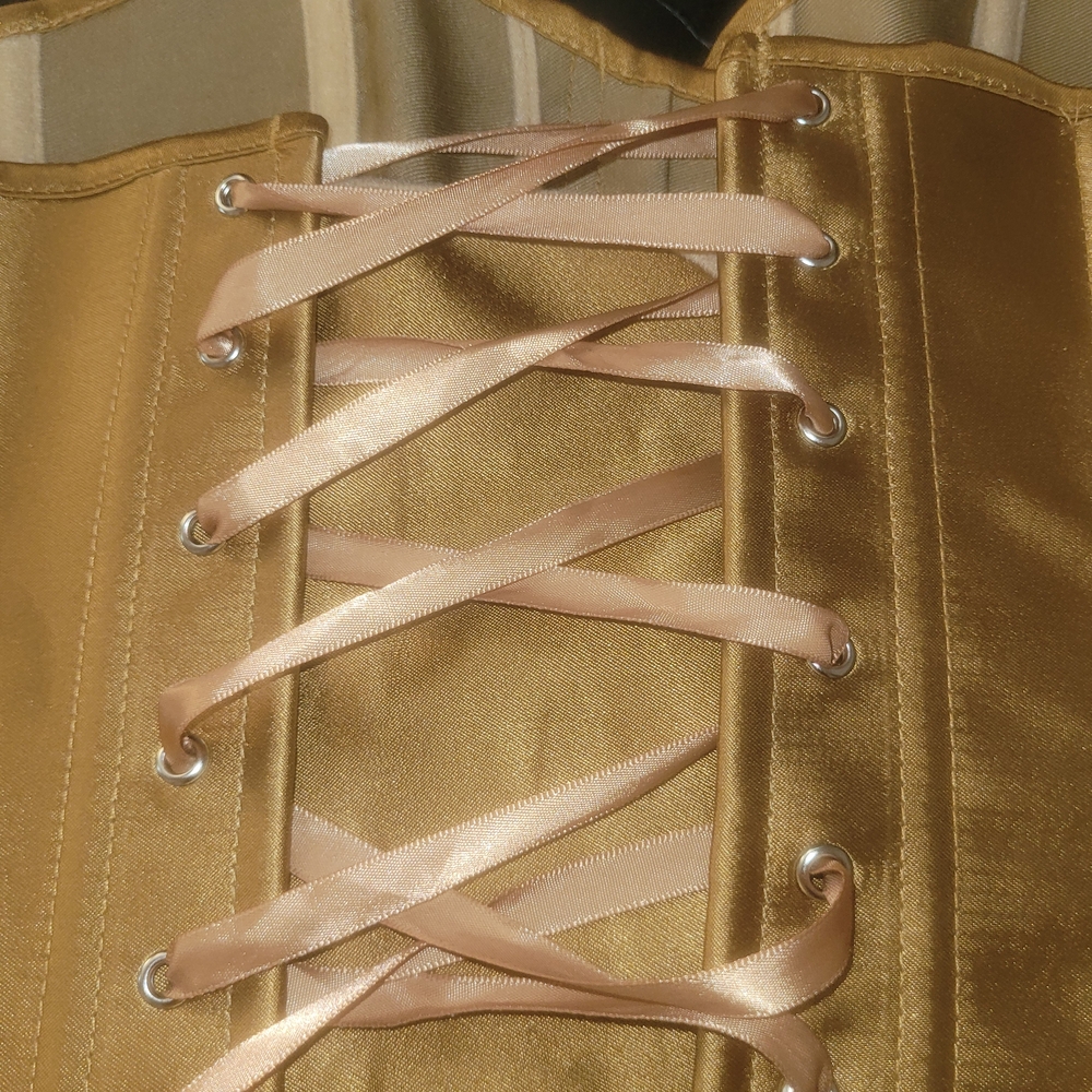 Vintage Gold Satin Boned Lace-Up Corset - Picture 6 of 9